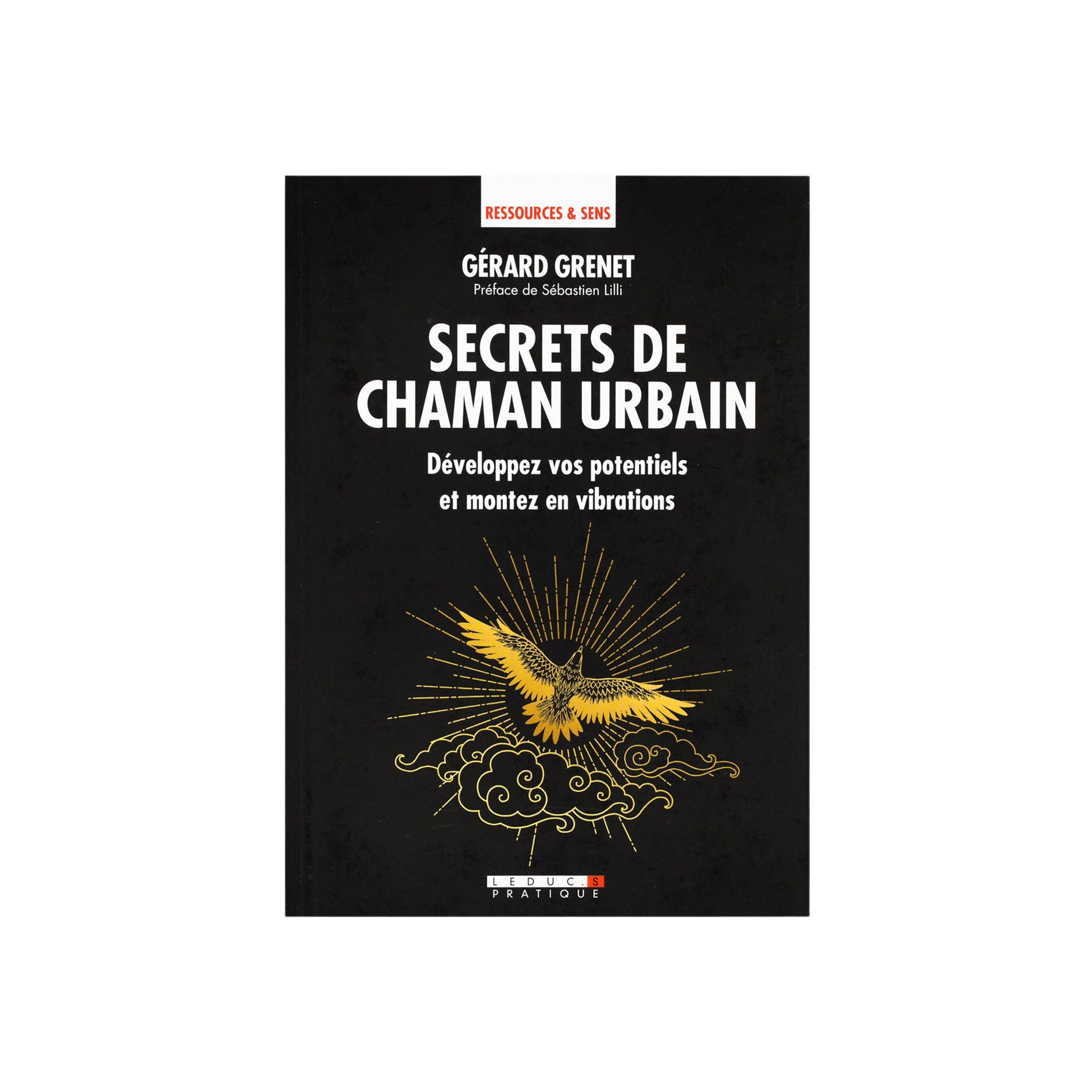 LIVRE SECRETS DE CHAMAN URBAIN