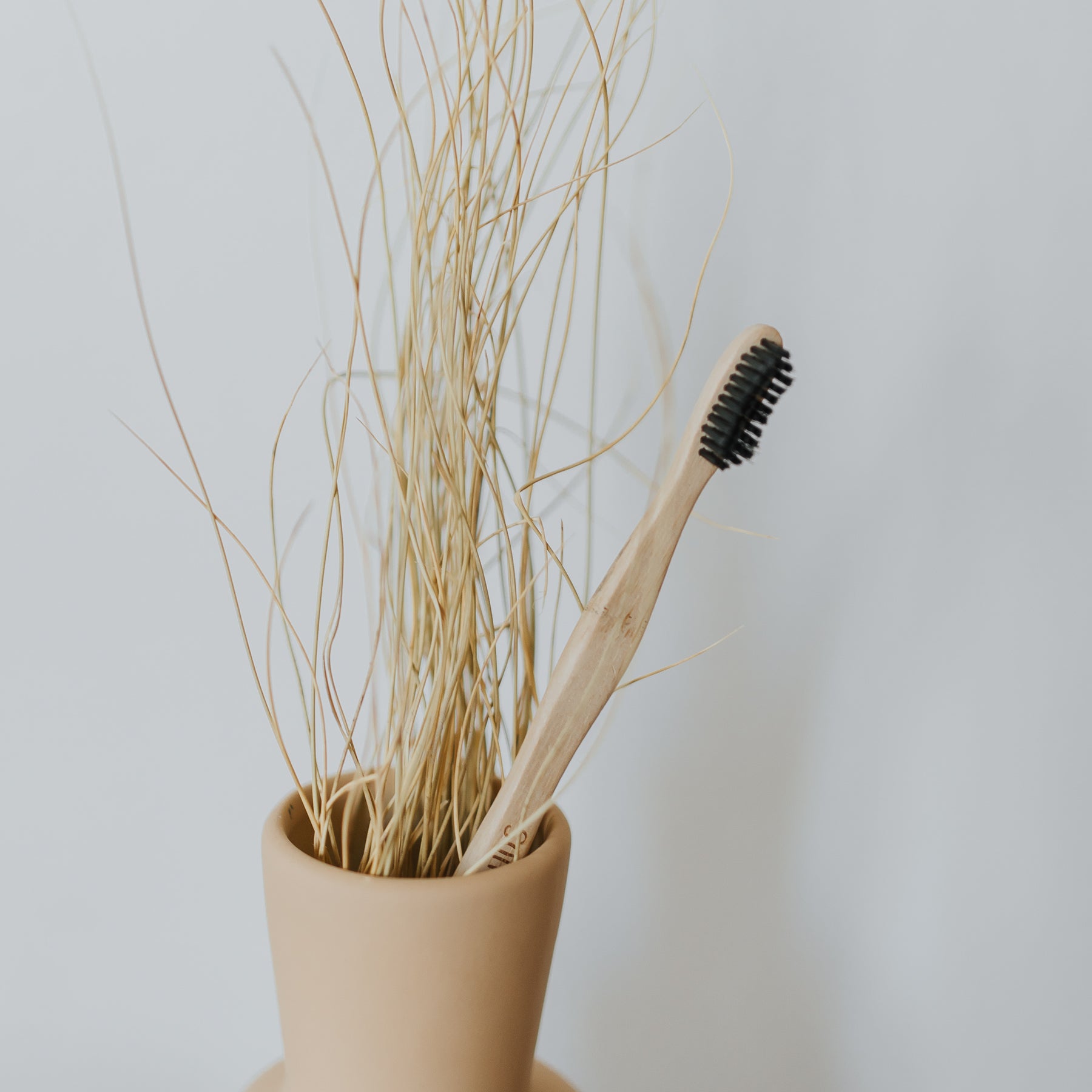 Dentarius naturelle support brosse à dents en bambou