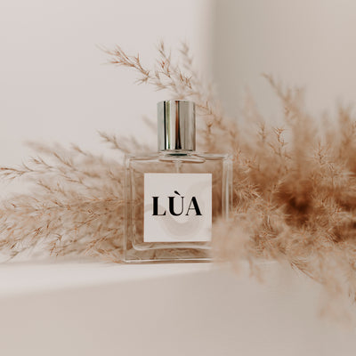 PARFUM LÙA ENJOYPHOENIX X LE PARFUM CITOYEN